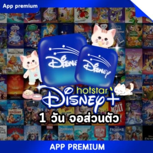 Disney 1 day ÷4